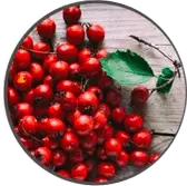 hawthorn berry